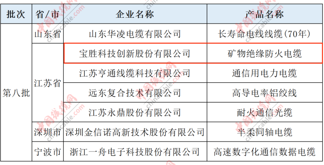 宝胜入选江苏省第八批国家级制造业单项冠军企业（产品）名单